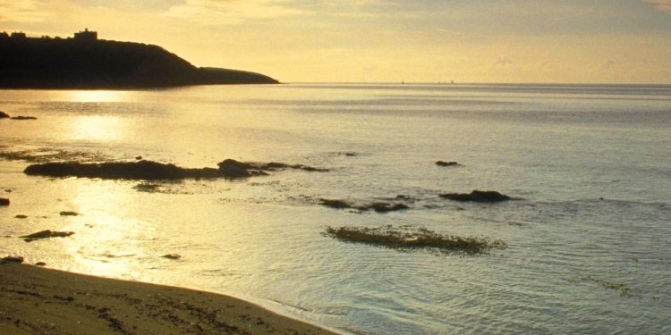 Castle Beach - Official