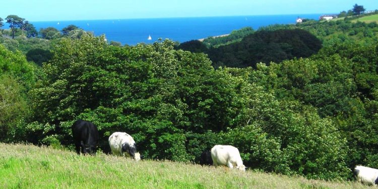 Holiday cottages Near Falmouth Cornwall