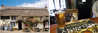 Dog friendly - The Punchbowl and Ladle in Feock