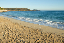 Falmouth_Gyllyngvase_Beach