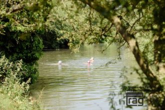 Others fancied swimming to the venue...